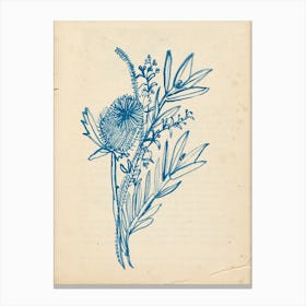 Blue Banksia Vintage Canvas Print