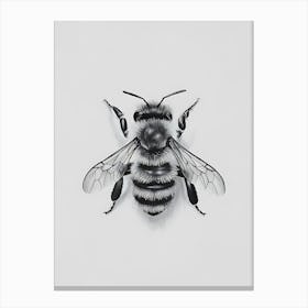 Bee Drawing minimalism Canvas Print