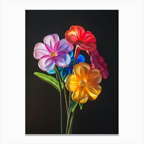 Bright Inflatable Flowers Phlox 2 Canvas Print