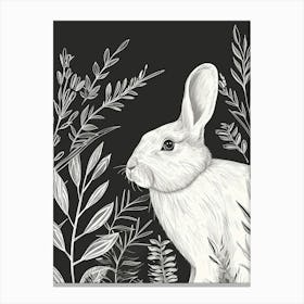 Florida White Rabbit Minimalist Illustration 4 Canvas Print