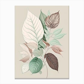 Mint Leaf Earthy Line Art Canvas Print