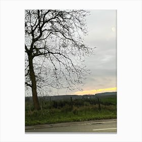 Lone Tree Canvas Print