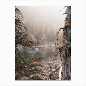 Lake Through Trees Canvas Print