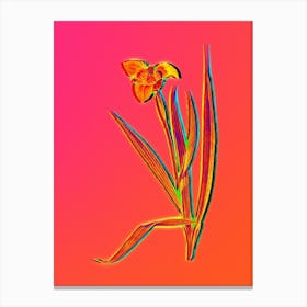 Neon Tiger Flower Botanical in Hot Pink and Electric Blue n.0599 Canvas Print