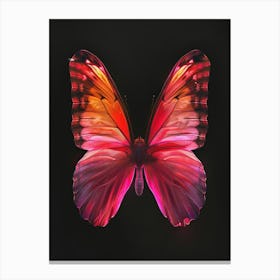 Butterfly 14 Canvas Print