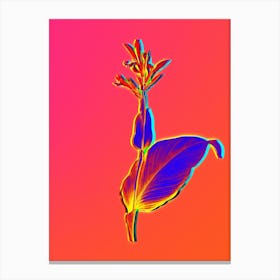Neon Indian Shot Botanical in Hot Pink and Electric Blue n.0312 Canvas Print