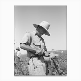 Nyssa, Oregon, Fsa (Farm Security Administration) Mobile Camp, A Japanese American Farm Worker Canvas Print