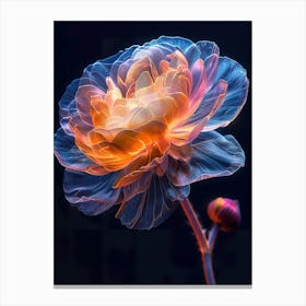 Flower Fractal Art Canvas Print