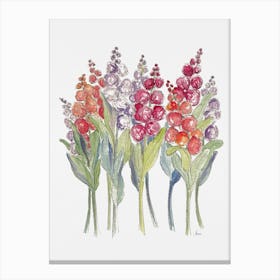 Bright Stock Flowers Canvas Print