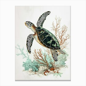 Sea Turtle & Marine Plants Minimalist Painting Canvas Print