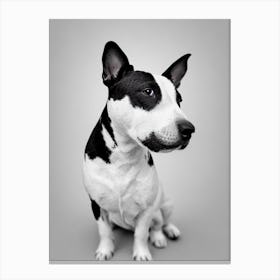 Miniature Bull Terrier B&W Pencil dog Canvas Print