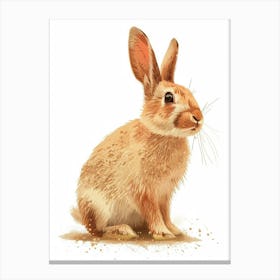 Californian Rabbit Nursery Illustration 3 Canvas Print