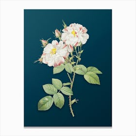 Vintage White Damask Rose Botanical Art on Teal Blue n.0079 Canvas Print