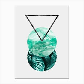 Geometric and botanical 1 Canvas Print