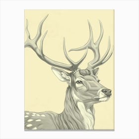 Deer Head 22 Canvas Print