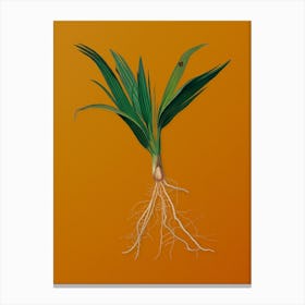 Vintage Date Palm Tree Botanical on Sunset Orange n.0471 Canvas Print