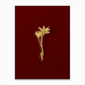 Vintage Autumn Crocus Botanical in Gold on Red n.0276 Canvas Print