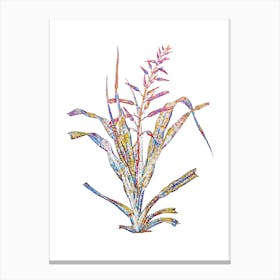 Stained Glass Pitcairnia Bromeliaefolia Mosaic Botanical Illustration on White Canvas Print