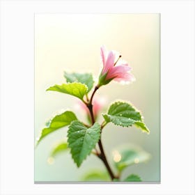 Pink Flower With Green Leaves In The Morning Toile