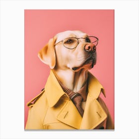A Labrador Retriever Dog 5 Canvas Print