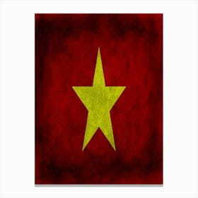 Viet Nam Flag Texture Canvas Print