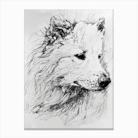 Samoyed Line Sketch Canvas Print