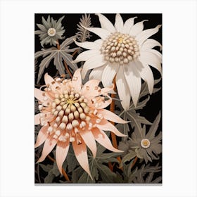 Flower Illustration Edelweiss 4 Canvas Print