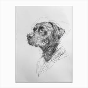 Rottweiler Dog Charcoal Line 1 Canvas Print