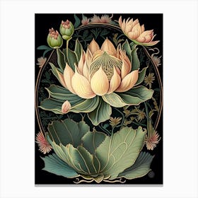 Lotus Floral 1 Botanical Vintage Poster Flower Canvas Print