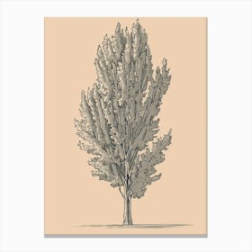 Poplar Tree Minimalistic Drawing 2 Canvas Print