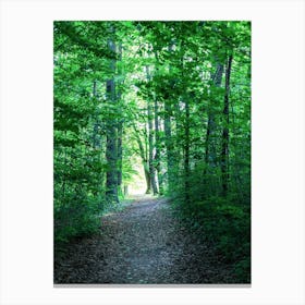 Path In The Woods Canvas Print