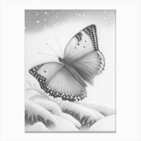 Butterfly In Snow Greyscale Sketch 1 Canvas Print