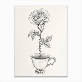 English Rose In A Cup Line Drawing 4 Canvas Print