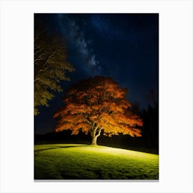 Lone Tree At Night 1 Canvas Print