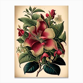 Mandevilla Floral Botanical Vintage Poster Flower Canvas Print