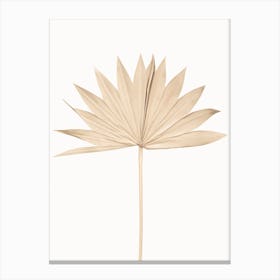 Palm Leaf 1 Canvas Print