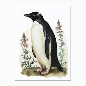 Adlie Penguin Santiago Island Vintage Botanical Painting 3 Canvas Print