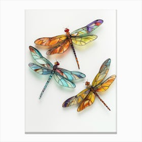 Dragonfly Set Canvas Print