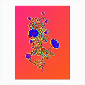 Neon Pink Scotch Briar Rose Botanical in Hot Pink and Electric Blue n.0297 Canvas Print