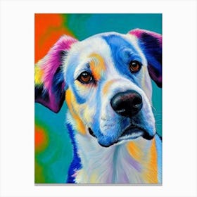 Australian Cattle Dog Fauvist Style dog Canvas Print