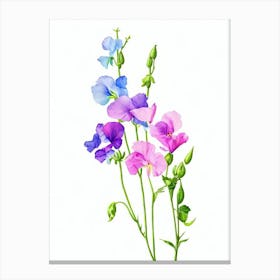 Sweet Pea Watercolour Flower Canvas Print