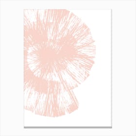 Pink Shell Two Set Canvas Print