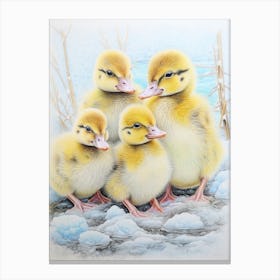 Icy Ducklings In The Snow Pencil Illustration 1 Canvas Print