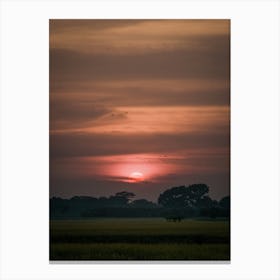 Sunset Over Rice Field Canvas Print