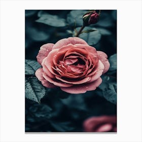 Rose In Black And White 2 Canvas Print