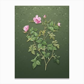Vintage Pink Flowering Rosebush Botanical on Lunar Green Pattern n.2159 Canvas Print