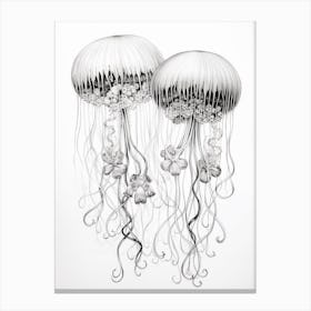 Turritopsis Dohrnii Importal Jellyfish 1 Canvas Print