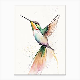 Buff Bellied Hummingbird Minimalist Watercolour Canvas Print