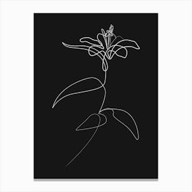 Lily 0724 Black Canvas Print