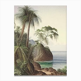Coastal Cliffs And Rocky Shores Waterscape Vintage Illustration 1 Canvas Print
